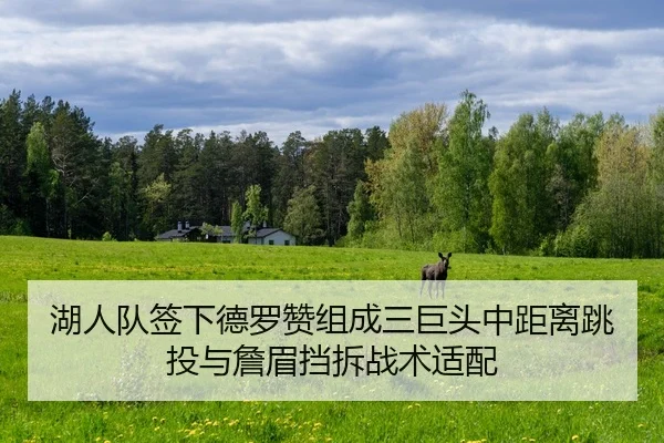 hu-ren-dui-qian-xia-de-luo-zan-zu-cheng-san-ju-tou-zhong-ju-li-tiao-tou-yu-zhan-mei-dang-chai-zhan-shu-shi-pei-2-595.jpg